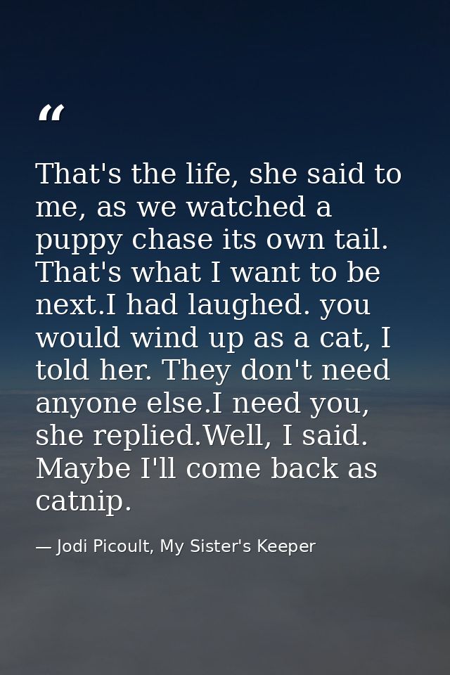 That's the life, she said to me, as we watched a puppy chase its own tail. That's what I want to be next.I had laughed.  — Jodi Picoult, My Sister's Keeper