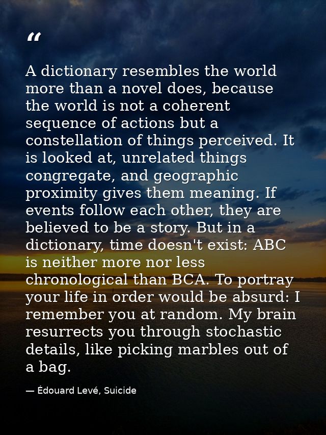 A dictionary resembles the world more than a novel does, because the world is not a coherent sequence of actions but a c — Édouard Levé, Suicide