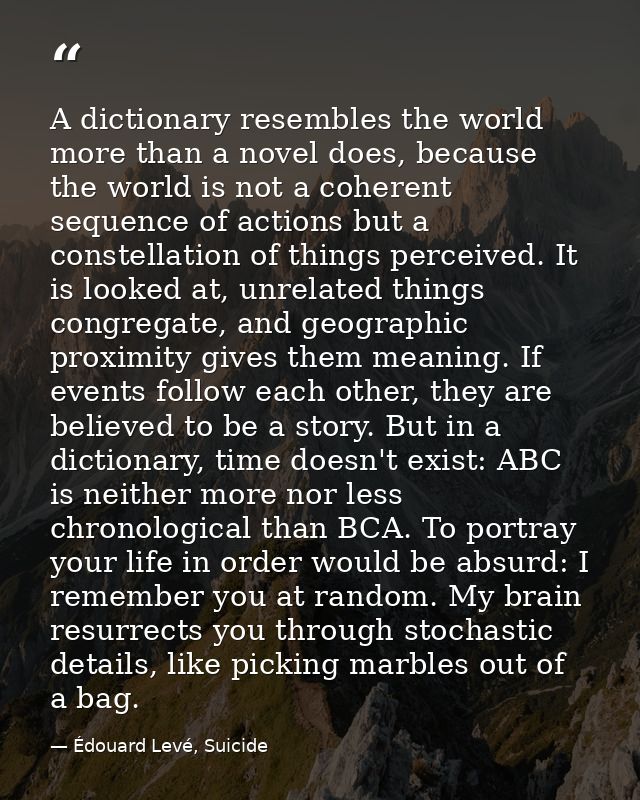 A dictionary resembles the world more than a novel does, because the world is not a coherent sequence of actions but a c — Édouard Levé, Suicide