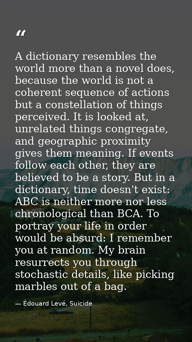 A dictionary resembles the world more than a novel does, because the world is not a coherent sequence of actions but a c — Édouard Levé, Suicide