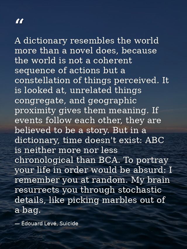 A dictionary resembles the world more than a novel does, because the world is not a coherent sequence of actions but a c — Édouard Levé, Suicide