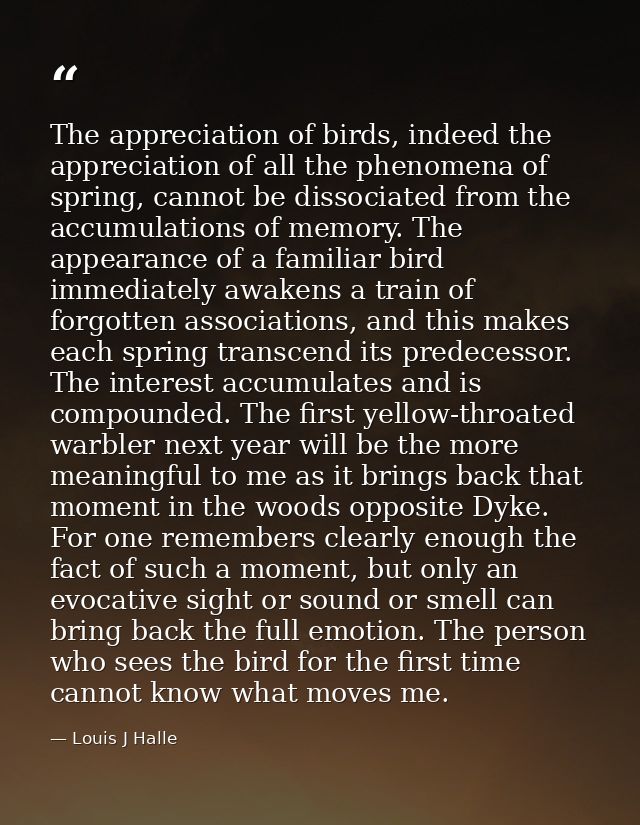 The appreciation of birds, indeed the appreciation of all the phenomena of spring, cannot be dissociated from the accumu — Louis J Halle