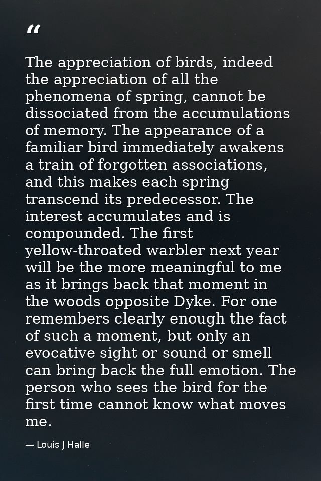 The appreciation of birds, indeed the appreciation of all the phenomena of spring, cannot be dissociated from the accumu — Louis J Halle