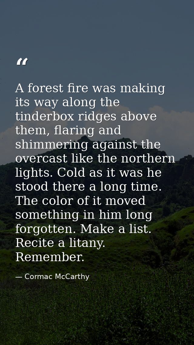 A forest fire was making its way along the tinderbox ridges above them, flaring and shimmering against the overcast like — Cormac McCarthy