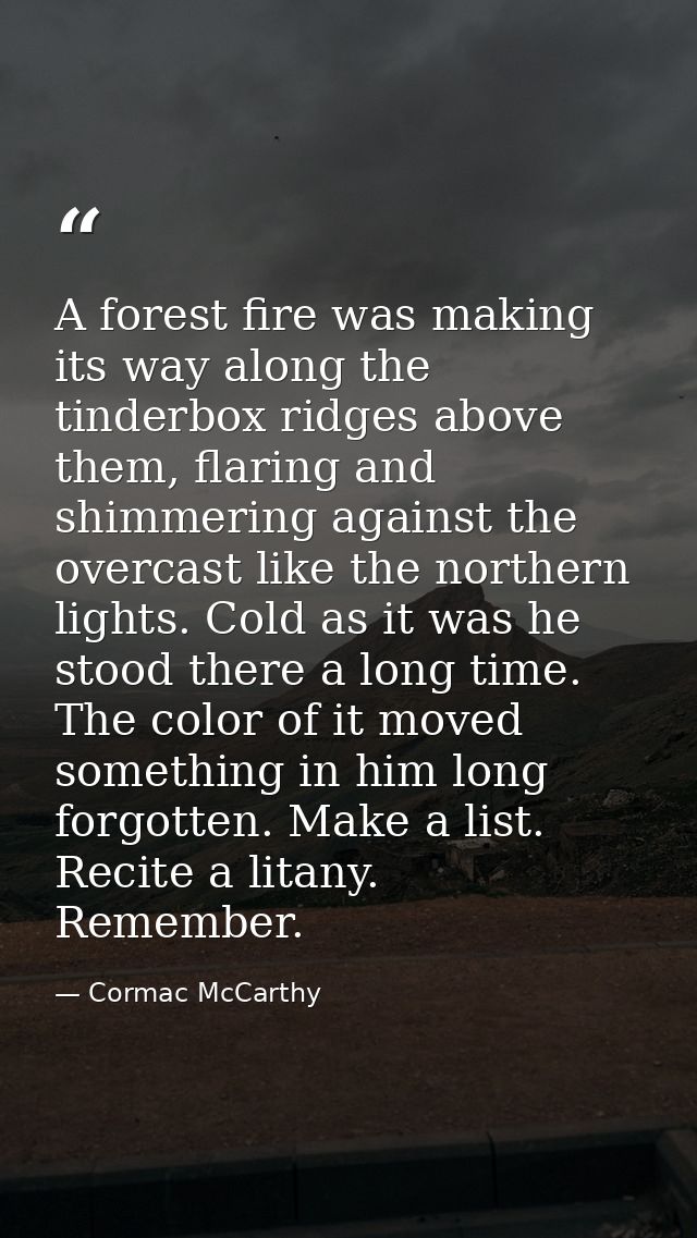 A forest fire was making its way along the tinderbox ridges above them, flaring and shimmering against the overcast like — Cormac McCarthy