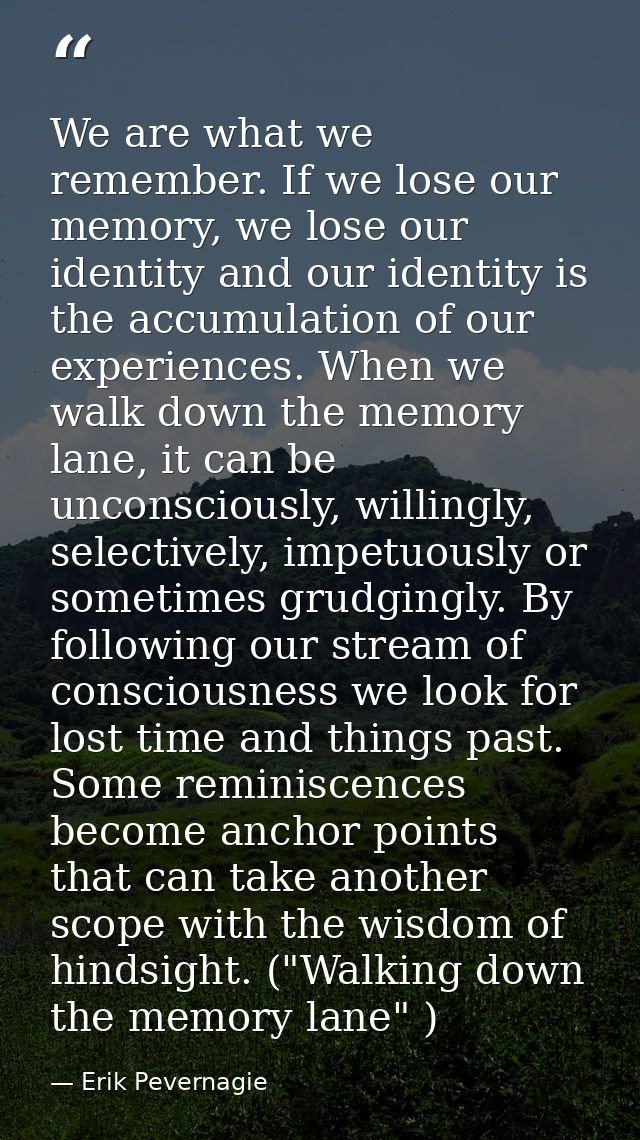 We are what we remember. If we lose our memory, we lose our identity and our identity is the accumulation of our experie — Erik Pevernagie