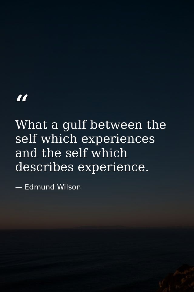 What a gulf between the self which experiences and the self which describes experience. — Edmund Wilson