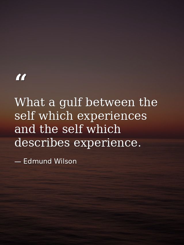 What a gulf between the self which experiences and the self which describes experience. — Edmund Wilson