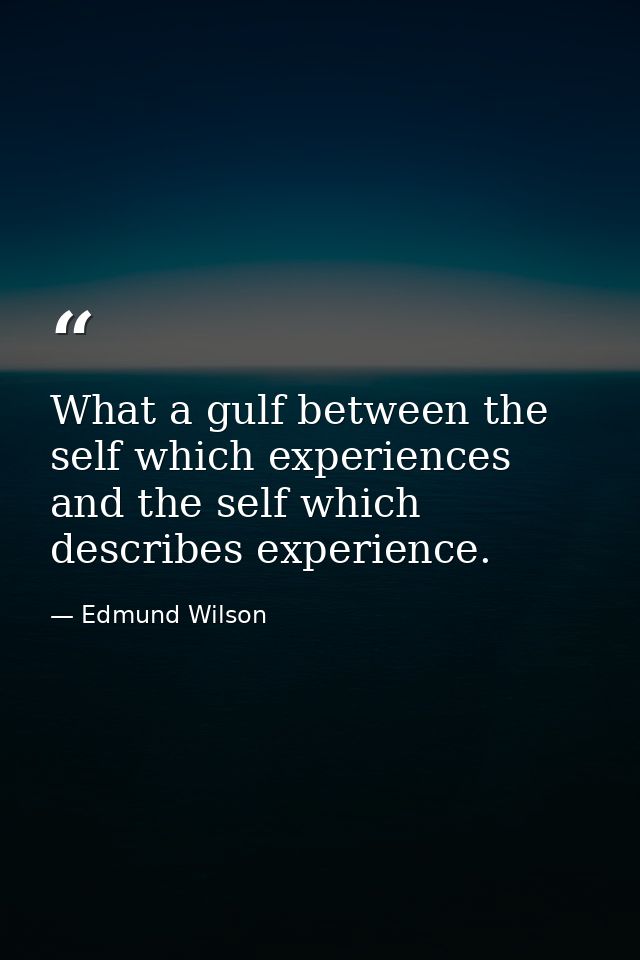 What a gulf between the self which experiences and the self which describes experience. — Edmund Wilson