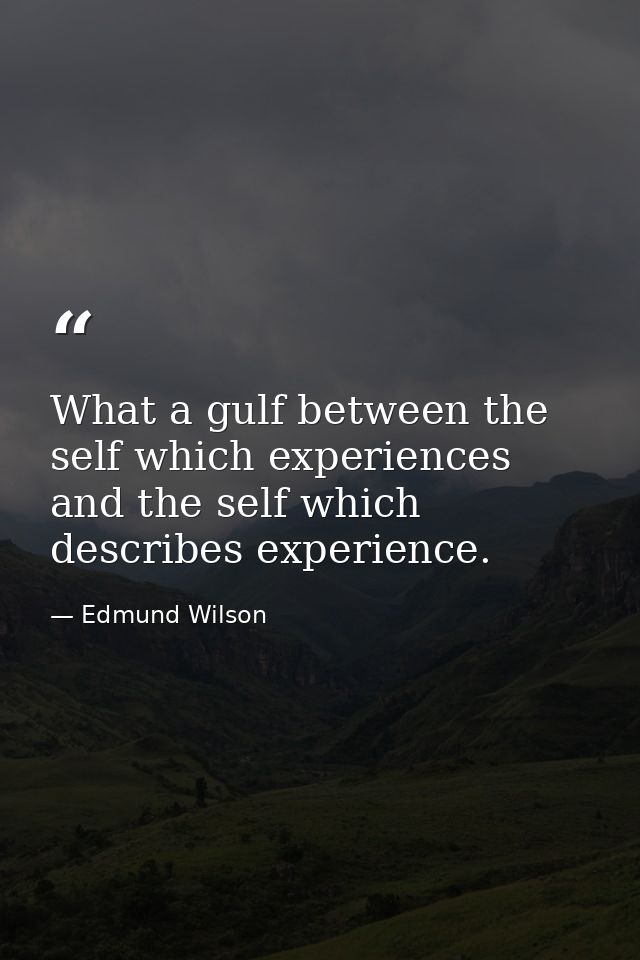 What a gulf between the self which experiences and the self which describes experience. — Edmund Wilson