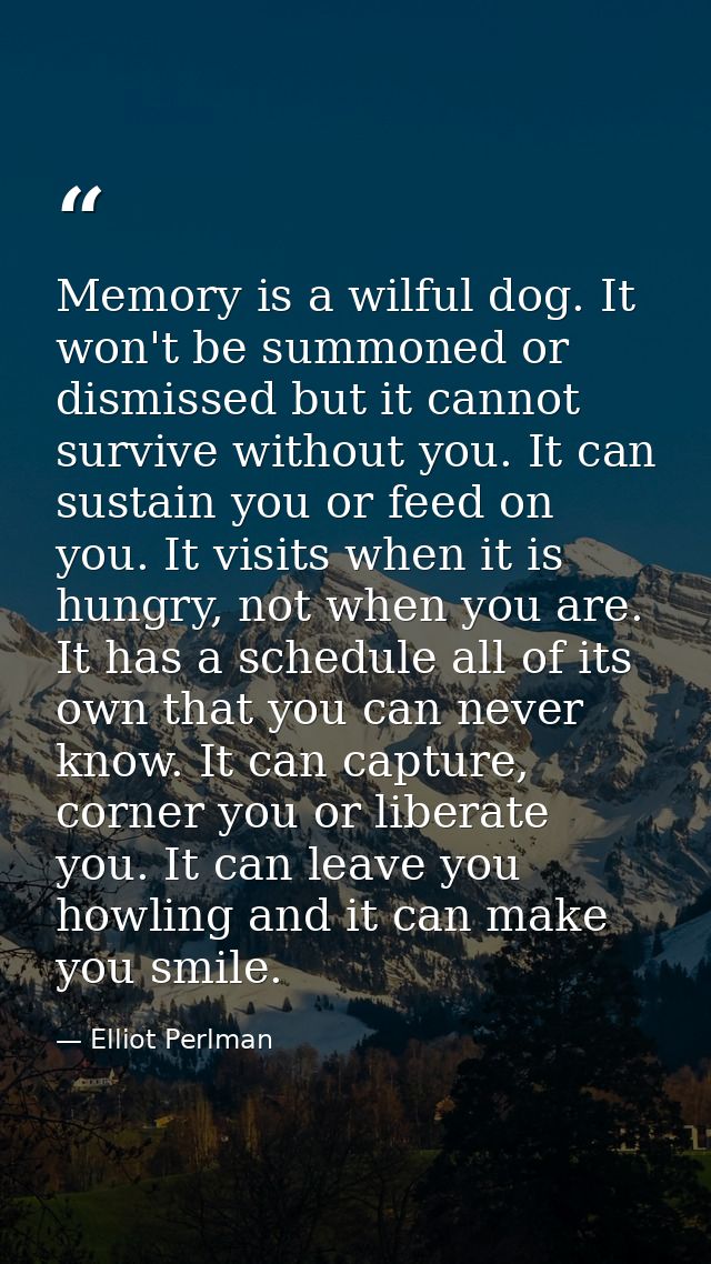 Memory is a wilful dog. It won't be summoned or dismissed but it cannot survive without you. It can sustain you or feed  — Elliot Perlman