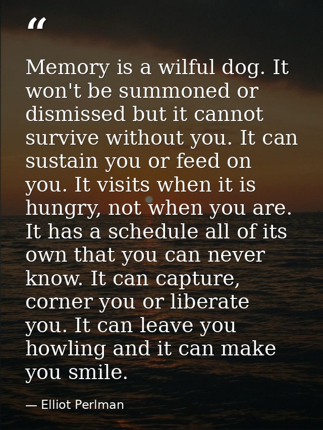 Memory is a wilful dog. It won't be summoned or dismissed but it cannot survive without you. It can sustain you or feed  — Elliot Perlman