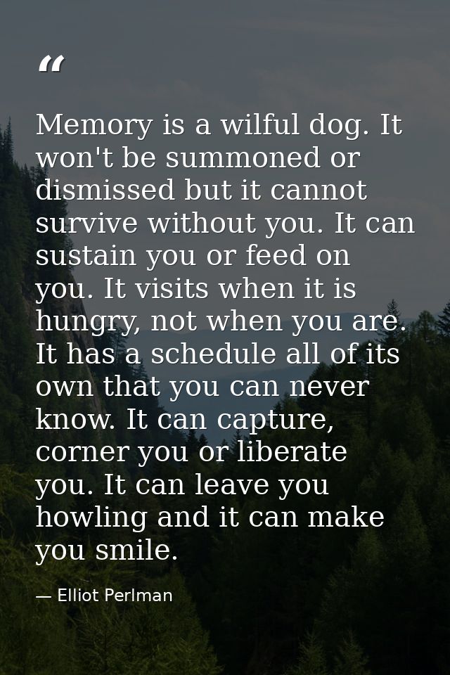 Memory is a wilful dog. It won't be summoned or dismissed but it cannot survive without you. It can sustain you or feed  — Elliot Perlman
