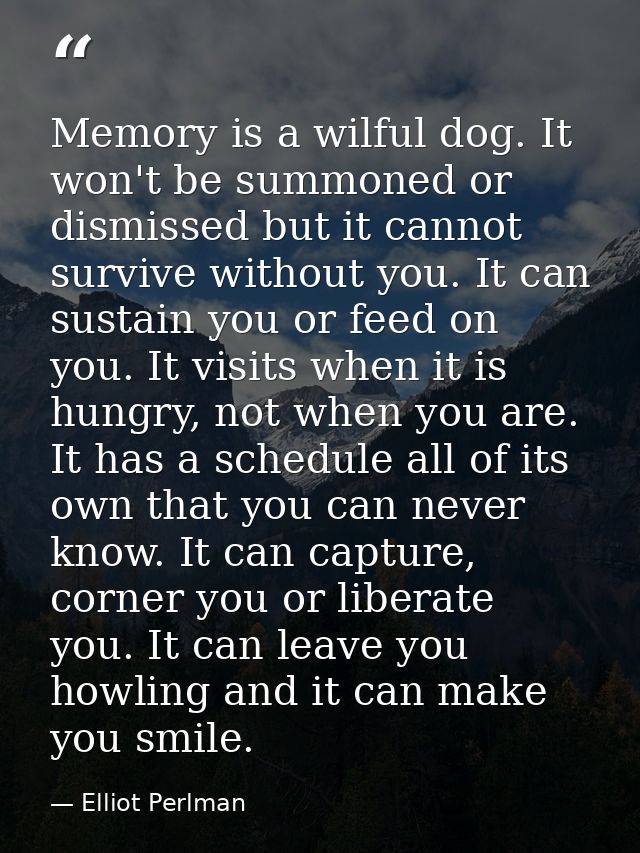 Memory is a wilful dog. It won't be summoned or dismissed but it cannot survive without you. It can sustain you or feed  — Elliot Perlman