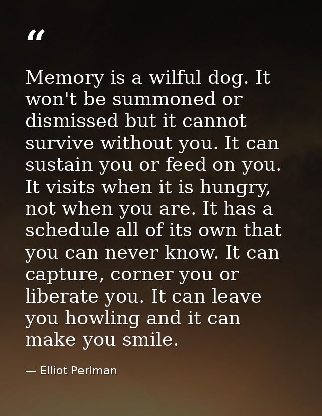 Memory is a wilful dog. It won't be summoned or dismissed but it cannot survive without you. It can sustain you or feed  — Elliot Perlman