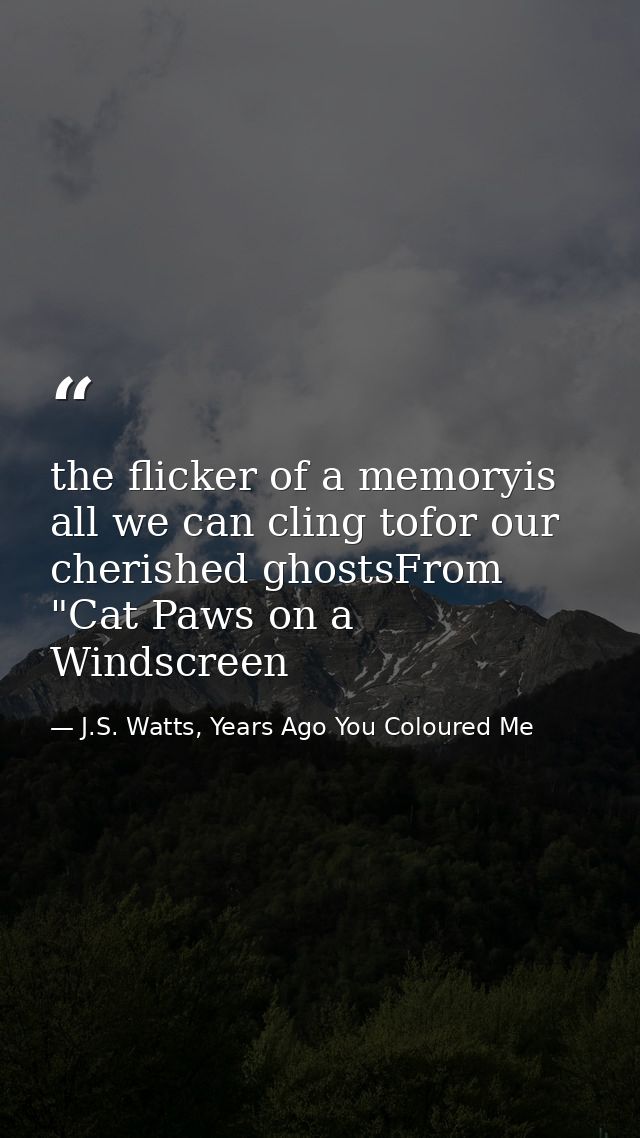 the flicker of a memoryis all we can cling tofor our cherished ghostsFrom "Cat Paws on a Windscreen — J.S. Watts, Years Ago You Coloured Me
