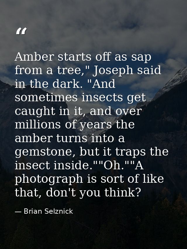 Amber starts off as sap from a tree," Joseph said in the dark. "And sometimes insects get caught in it, and over million — Brian Selznick