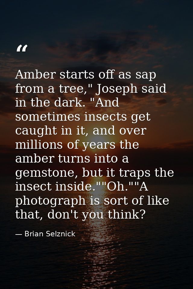 Amber starts off as sap from a tree," Joseph said in the dark. "And sometimes insects get caught in it, and over million — Brian Selznick
