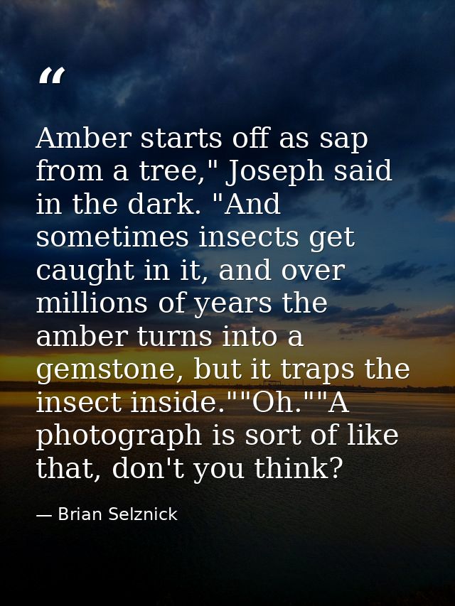 Amber starts off as sap from a tree," Joseph said in the dark. "And sometimes insects get caught in it, and over million — Brian Selznick
