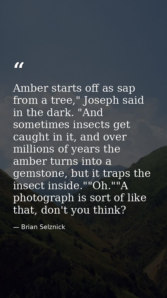 Amber starts off as sap from a tree," Joseph said in the dark. "And sometimes insects get caught in it, and over million — Brian Selznick