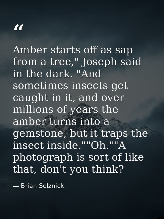 Amber starts off as sap from a tree," Joseph said in the dark. "And sometimes insects get caught in it, and over million — Brian Selznick