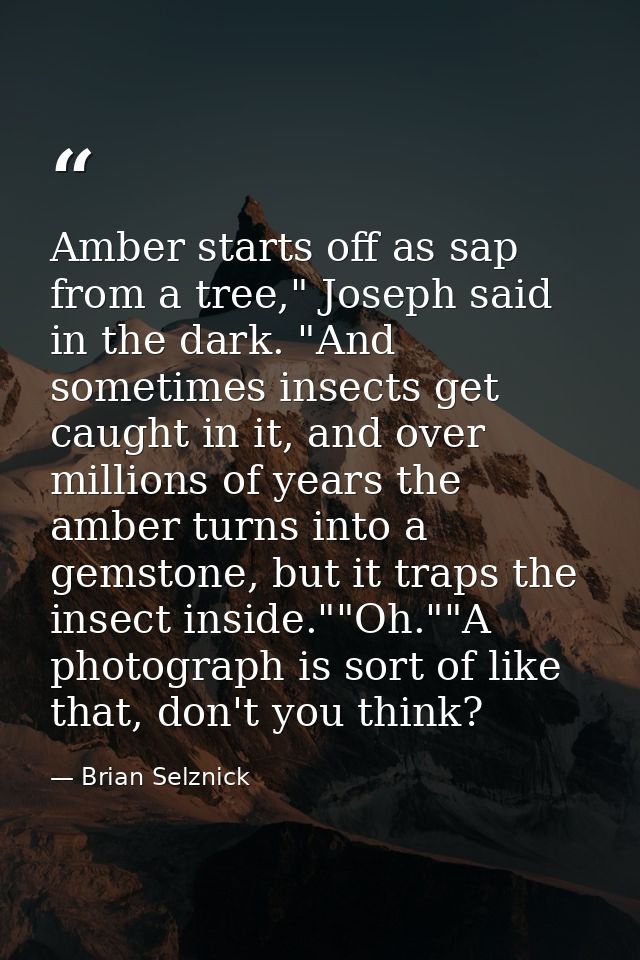 Amber starts off as sap from a tree," Joseph said in the dark. "And sometimes insects get caught in it, and over million — Brian Selznick