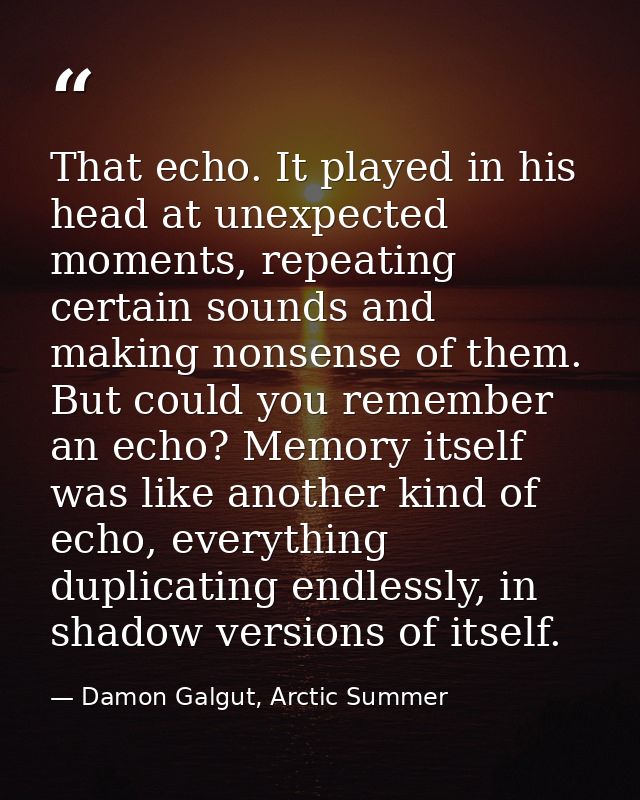 That echo. It played in his head at unexpected moments, repeating certain sounds and making nonsense of them. But could  — Damon Galgut, Arctic Summer