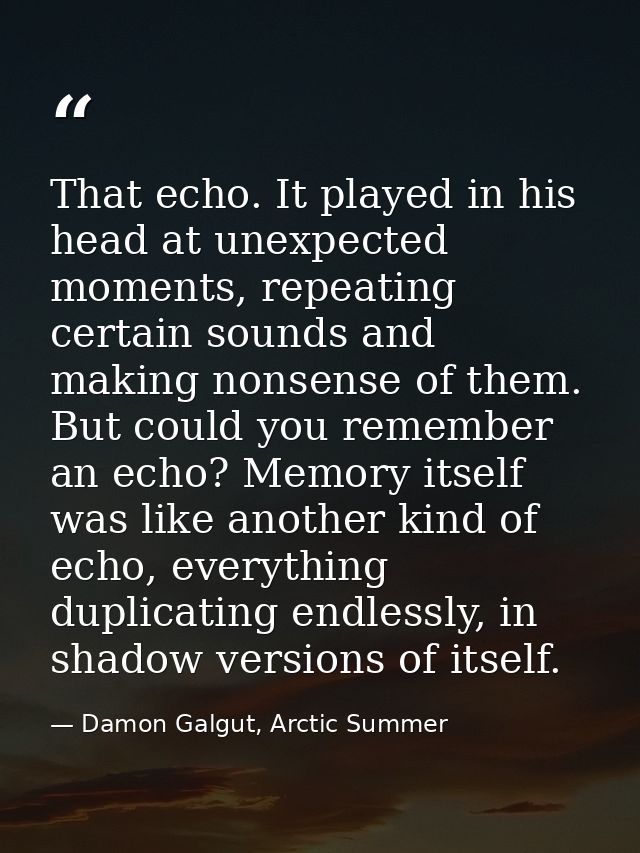 That echo. It played in his head at unexpected moments, repeating certain sounds and making nonsense of them. But could  — Damon Galgut, Arctic Summer