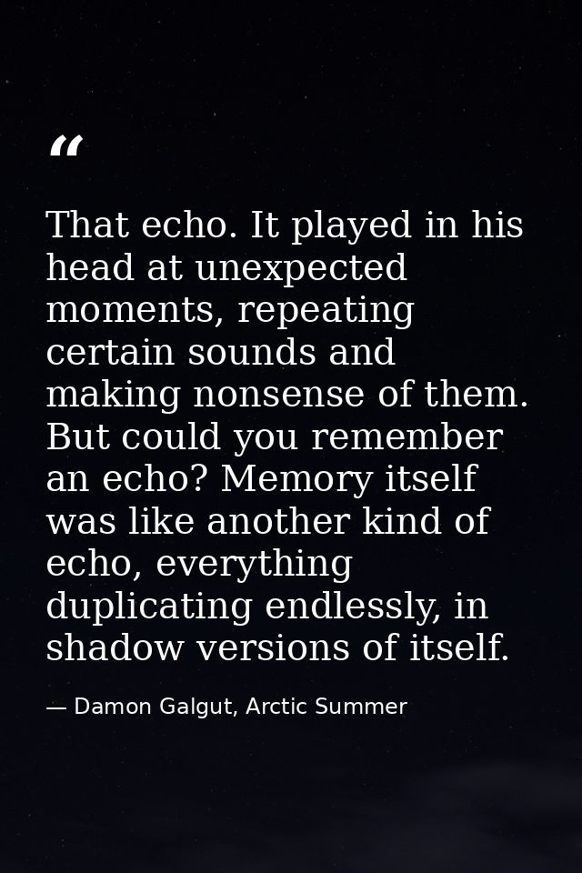 That echo. It played in his head at unexpected moments, repeating certain sounds and making nonsense of them. But could  — Damon Galgut, Arctic Summer