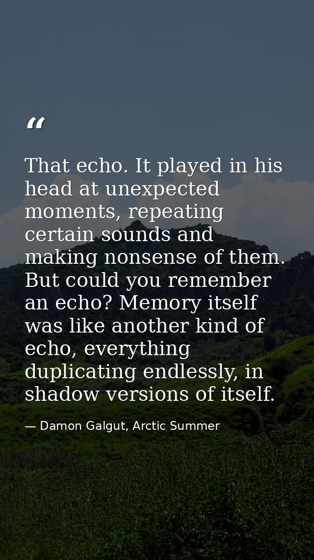 That echo. It played in his head at unexpected moments, repeating certain sounds and making nonsense of them. But could  — Damon Galgut, Arctic Summer