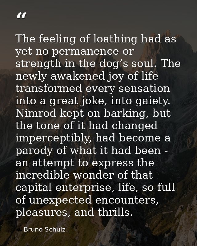 The feeling of loathing had as yet no permanence or strength in the dog’s soul. The newly awakened joy of life transform — Bruno Schulz
