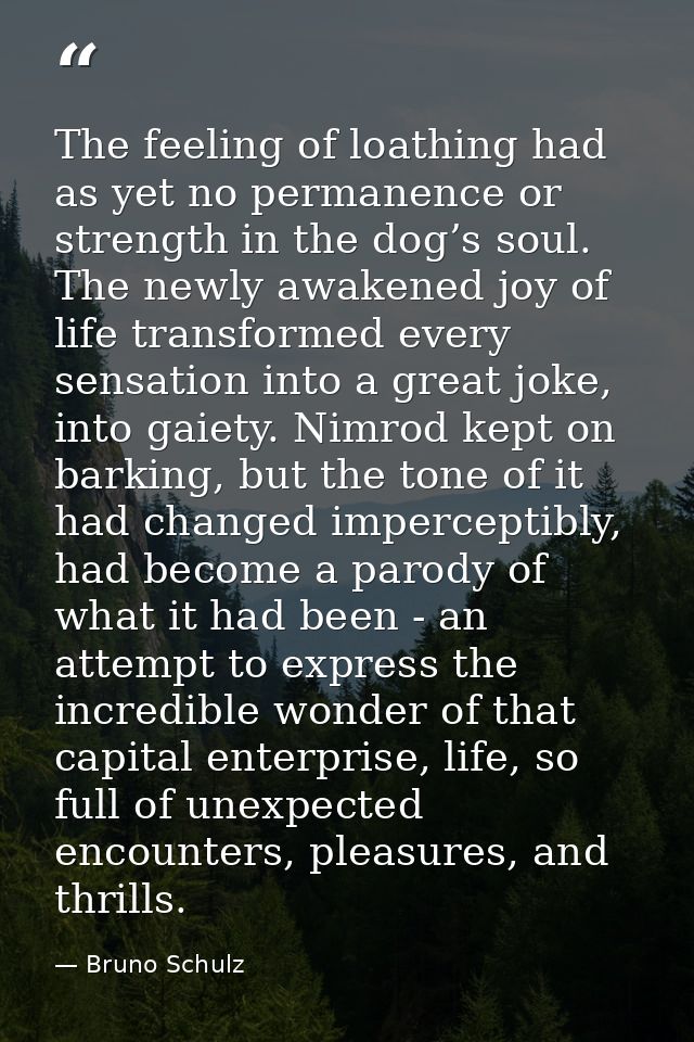 The feeling of loathing had as yet no permanence or strength in the dog’s soul. The newly awakened joy of life transform — Bruno Schulz