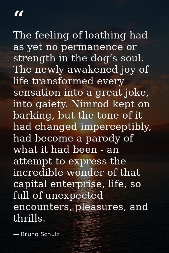 The feeling of loathing had as yet no permanence or strength in the dog’s soul. The newly awakened joy of life transform — Bruno Schulz