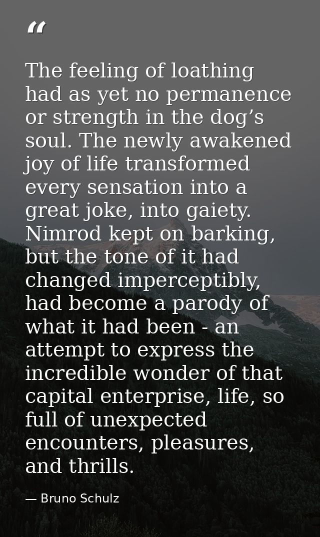 The feeling of loathing had as yet no permanence or strength in the dog’s soul. The newly awakened joy of life transform — Bruno Schulz