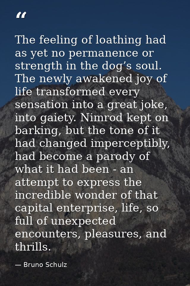 The feeling of loathing had as yet no permanence or strength in the dog’s soul. The newly awakened joy of life transform — Bruno Schulz