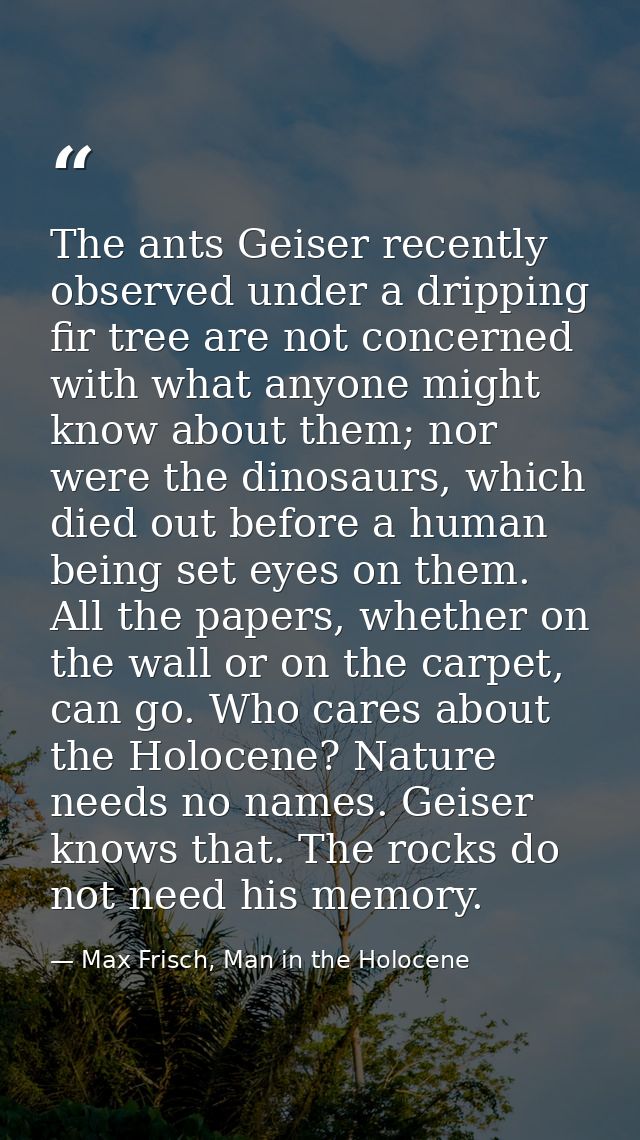 The ants Geiser recently observed under a dripping fir tree are not concerned with what anyone might know about them; no — Max Frisch, Man in the Holocene