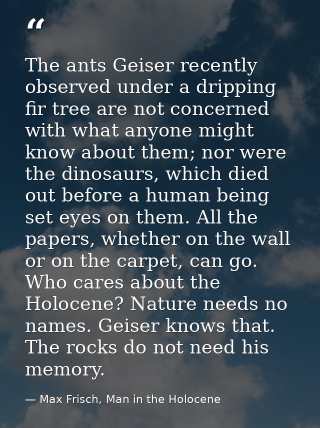 The ants Geiser recently observed under a dripping fir tree are not concerned with what anyone might know about them; no — Max Frisch, Man in the Holocene