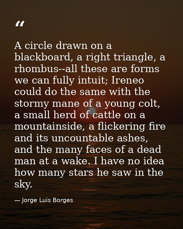 A circle drawn on a blackboard, a right triangle, a rhombus--all these are forms we can fully intuit; Ireneo could do th — Jorge Luis Borges