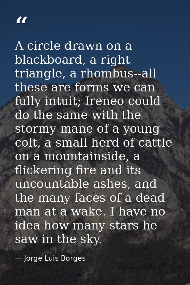 A circle drawn on a blackboard, a right triangle, a rhombus--all these are forms we can fully intuit; Ireneo could do th — Jorge Luis Borges