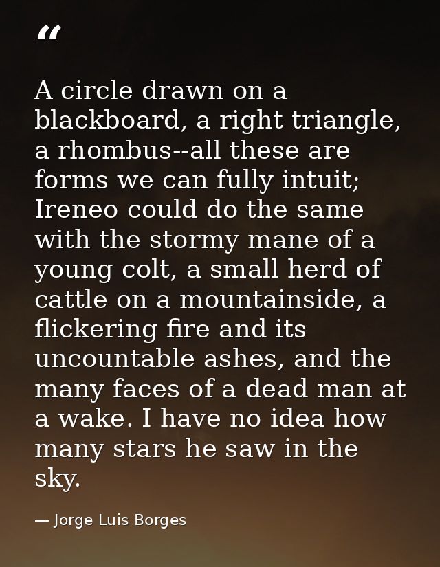 A circle drawn on a blackboard, a right triangle, a rhombus--all these are forms we can fully intuit; Ireneo could do th — Jorge Luis Borges