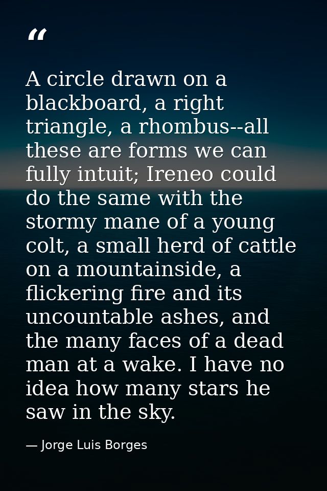 A circle drawn on a blackboard, a right triangle, a rhombus--all these are forms we can fully intuit; Ireneo could do th — Jorge Luis Borges
