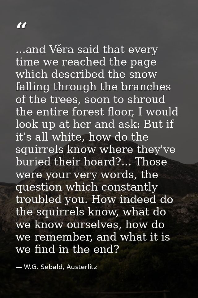 ...and Věra said that every time we reached the page which described the snow falling through the branches of the trees, — W.G. Sebald, Austerlitz