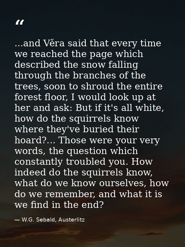 ...and Věra said that every time we reached the page which described the snow falling through the branches of the trees, — W.G. Sebald, Austerlitz