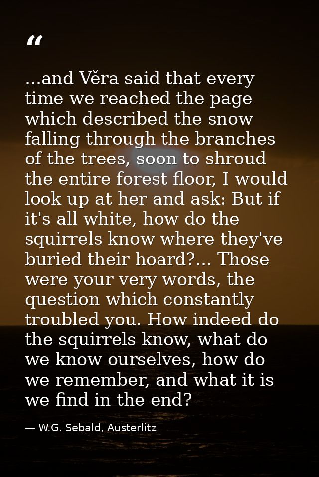 ...and Věra said that every time we reached the page which described the snow falling through the branches of the trees, — W.G. Sebald, Austerlitz