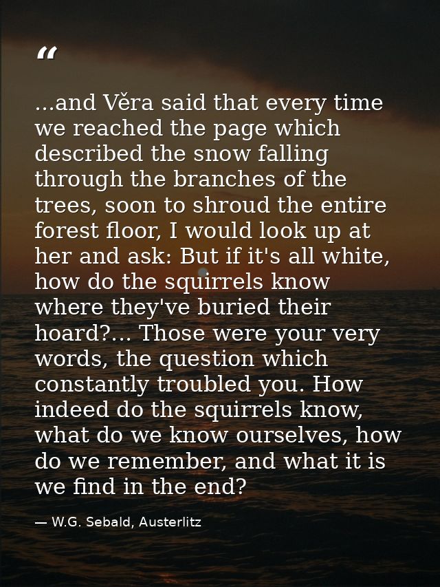 ...and Věra said that every time we reached the page which described the snow falling through the branches of the trees, — W.G. Sebald, Austerlitz