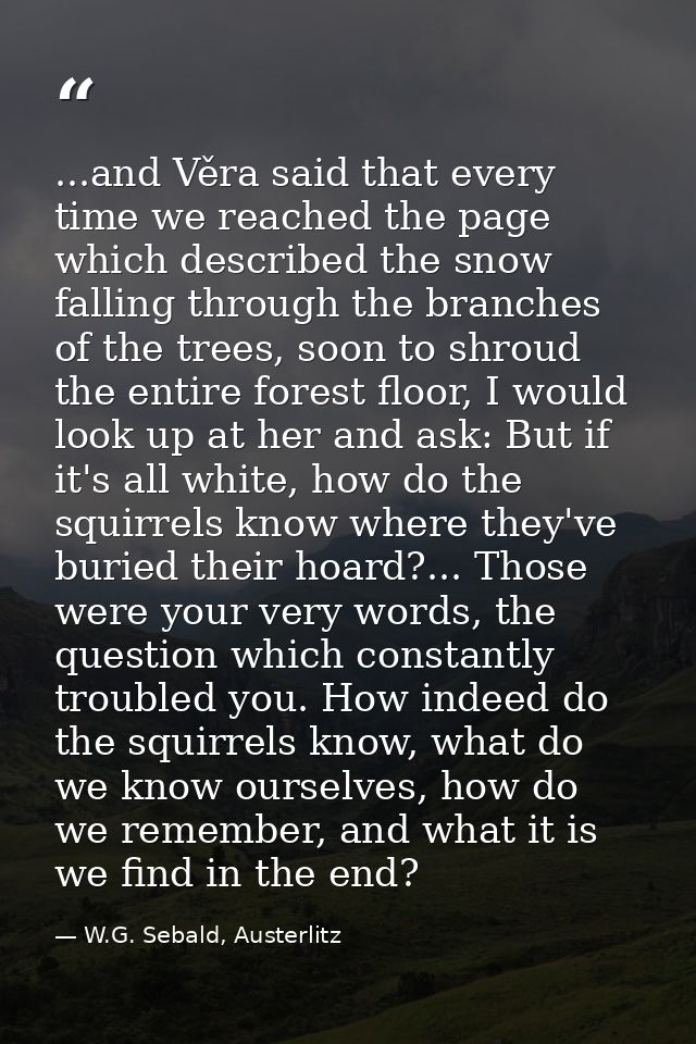 ...and Věra said that every time we reached the page which described the snow falling through the branches of the trees, — W.G. Sebald, Austerlitz