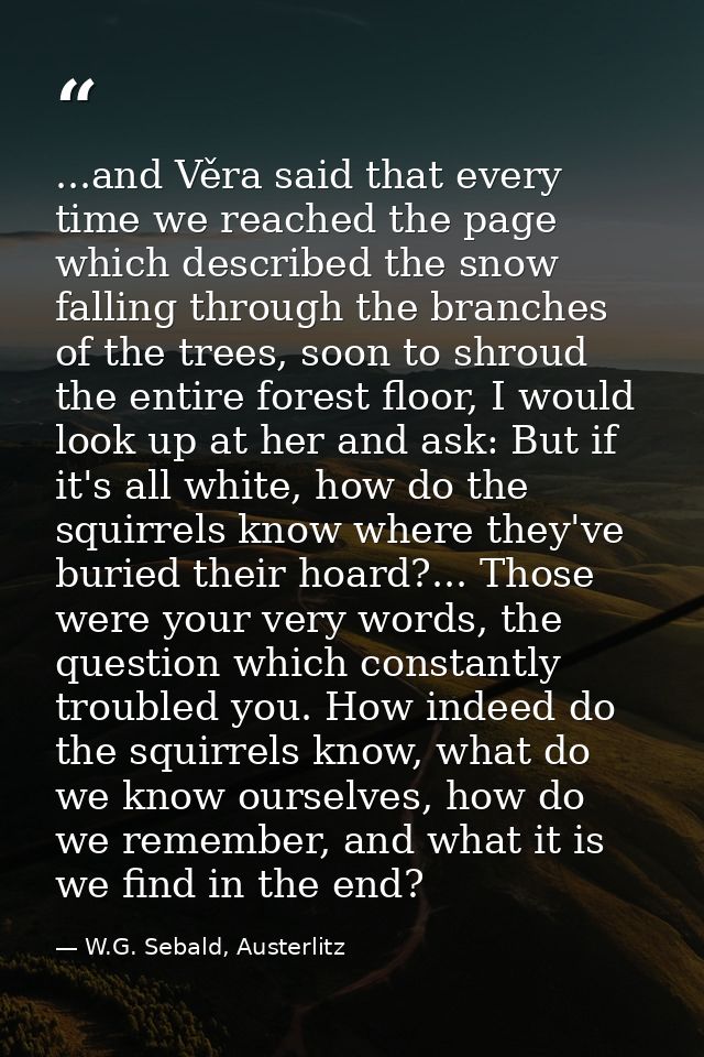 ...and Věra said that every time we reached the page which described the snow falling through the branches of the trees, — W.G. Sebald, Austerlitz