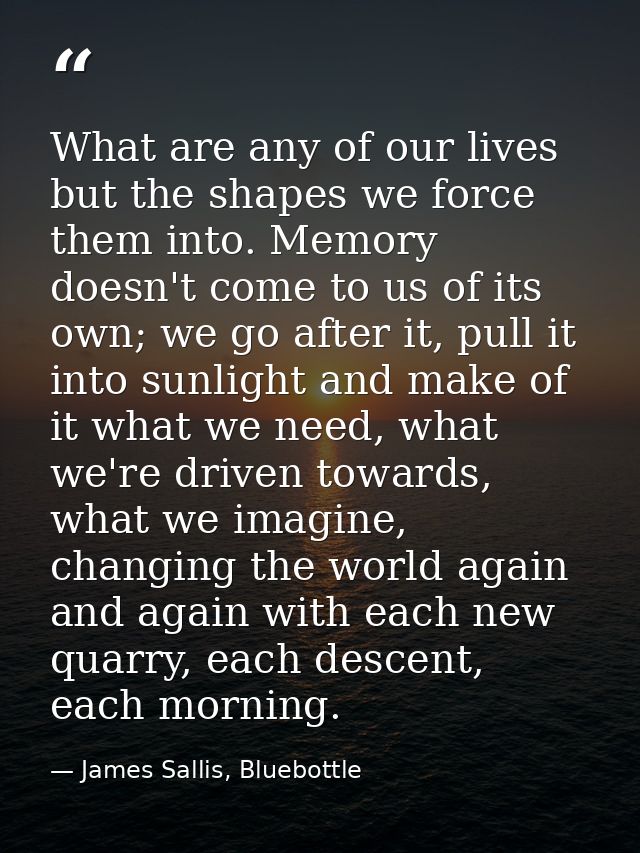 What are any of our lives but the shapes we force them into. Memory doesn't come to us of its own; we go after it, pull  — James Sallis, Bluebottle
