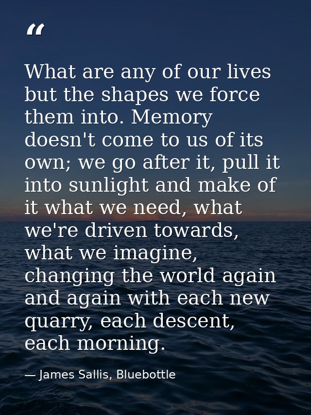 What are any of our lives but the shapes we force them into. Memory doesn't come to us of its own; we go after it, pull  — James Sallis, Bluebottle