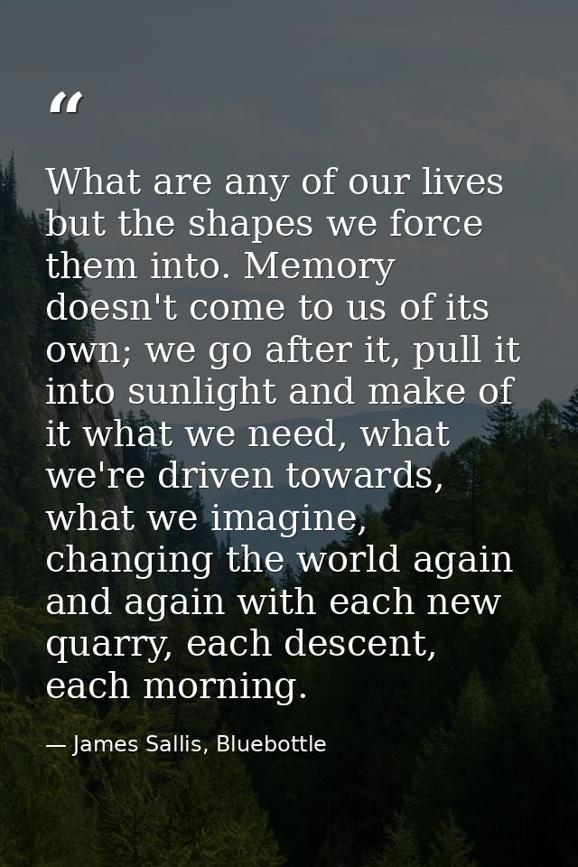 What are any of our lives but the shapes we force them into. Memory doesn't come to us of its own; we go after it, pull  — James Sallis, Bluebottle